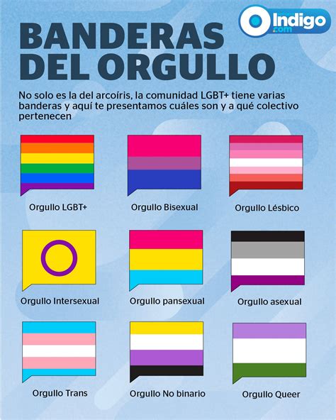 Cuáles son 【 Banderas de la Sexualidad